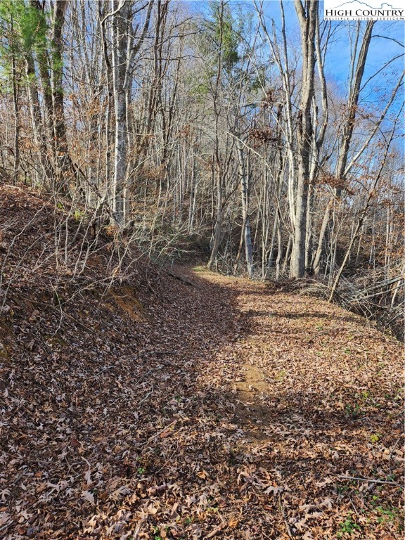 Big Laurel Road Creston, NC 28615 - Photo 9 of 27 a view of outdoor space and yard