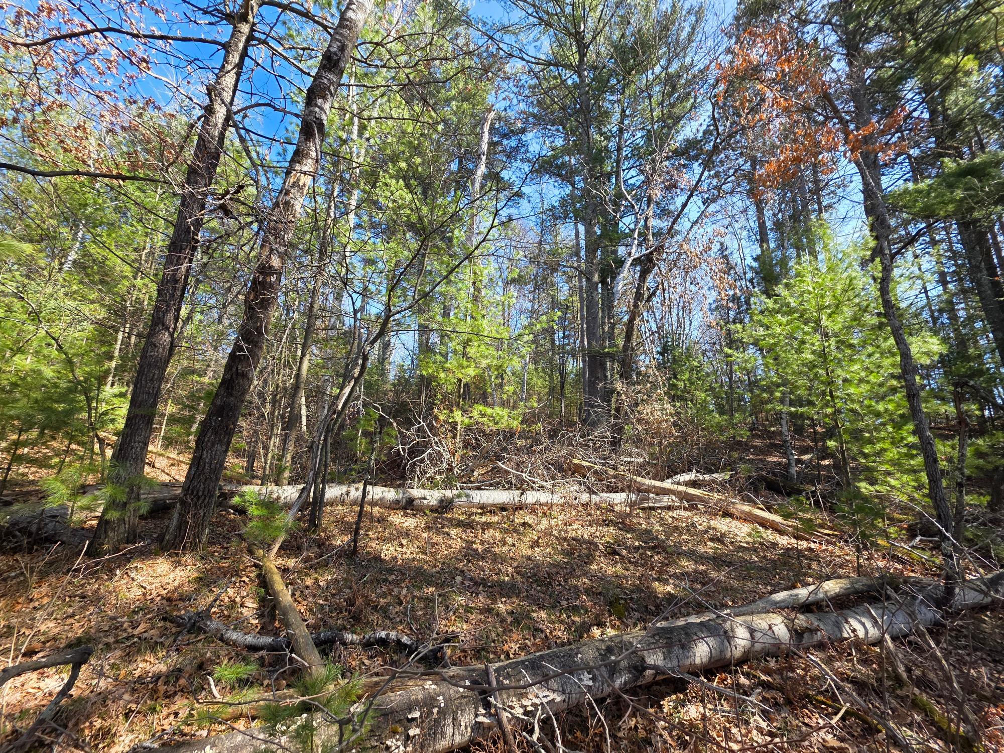10023 Point O Pines Road Tomahawk, WI 54487 - Photo 21 of 25 Gallery Image 21
