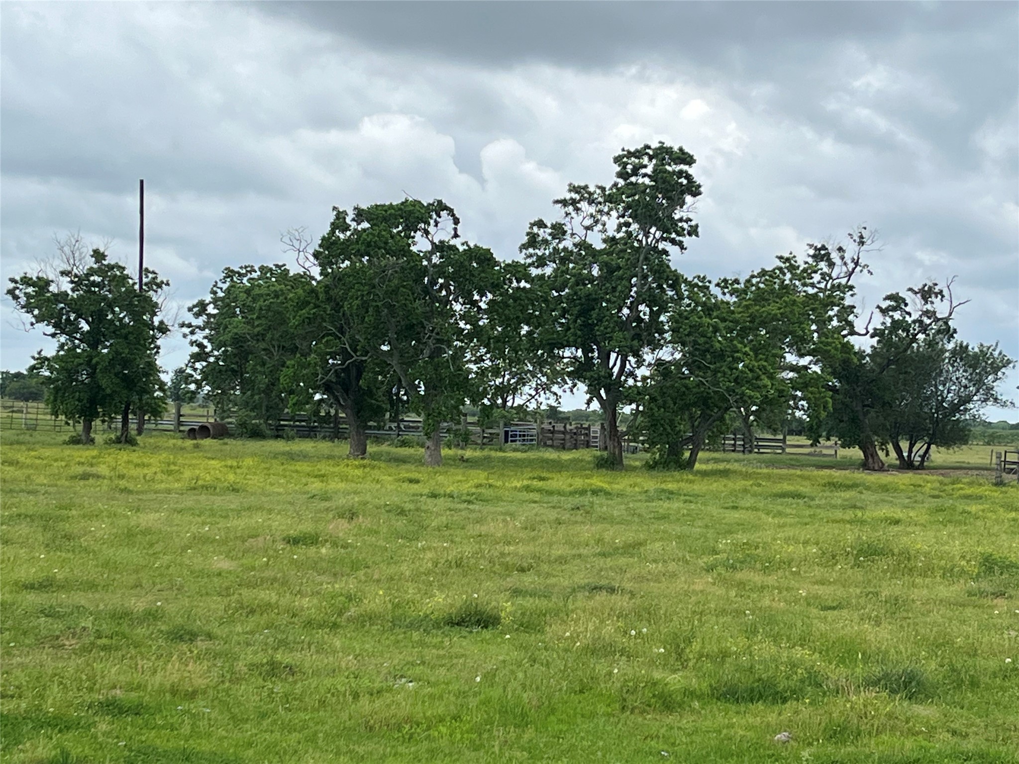 2627 Beasley West End Road Beasley, TX 77417 - Photo 6 of 24