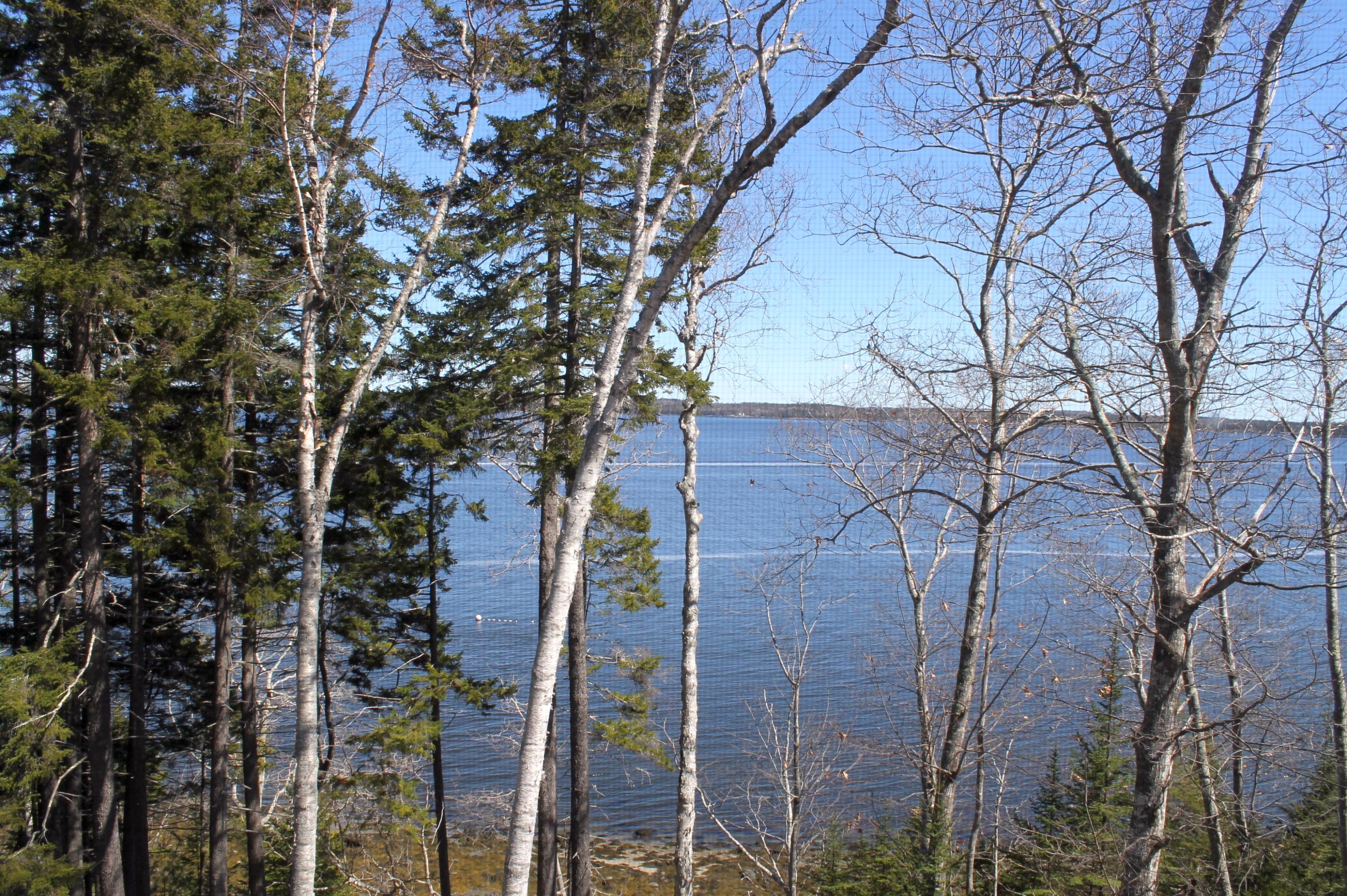338 Shore Road Northport, ME 04849 - Photo 35 of 35 IMG_1280