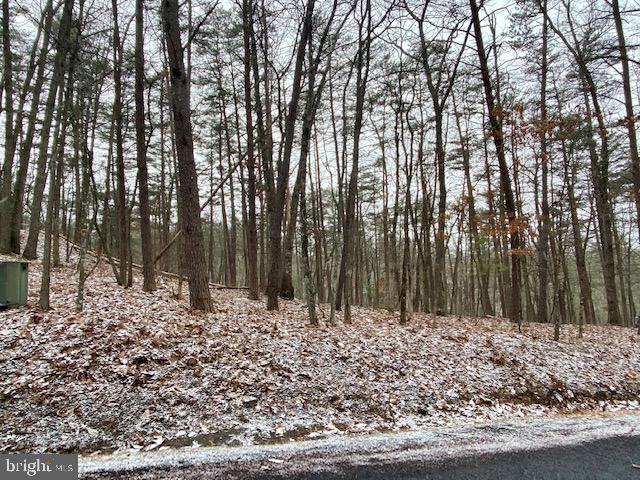 0 Deloris Road Mount Jackson, VA 22842 - Photo 1 of 3 Lot 71 Deloris looking West