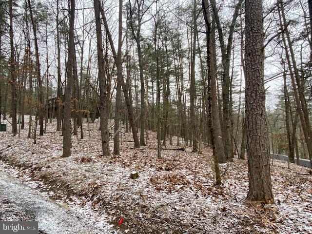 0 Deloris Road Mount Jackson, VA 22842 - Photo 3 of 3 Lot 71 Deloris looking East