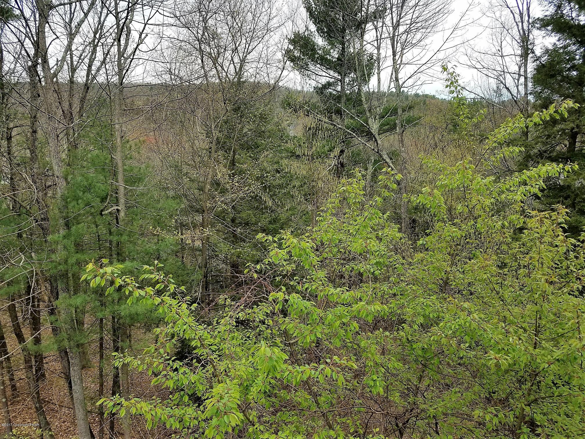 5107 Pine Ridge Road North East Stroudsburg, PA 18302 - Photo 15 of 18 5107 view from back deck
