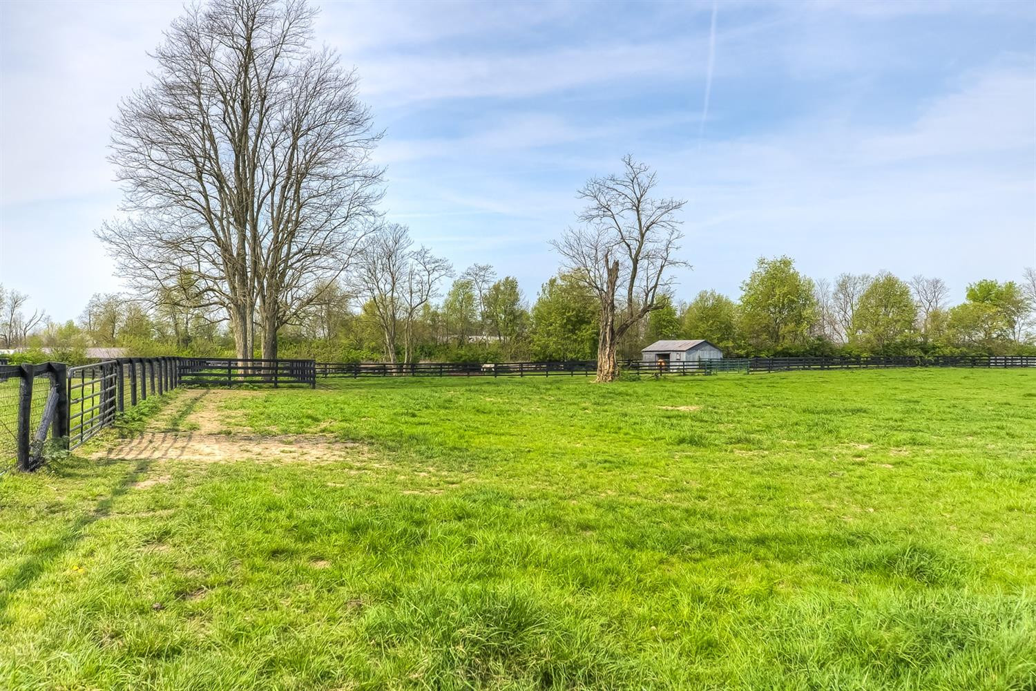 4824 Bryan Station Road Lexington, KY 40516 - Photo 20 of 21 Photo 20