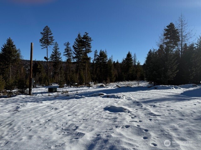 94 Grafton Road Wauconda, WA 98859 - Photo 11 of 37 a view of a backyard of the house