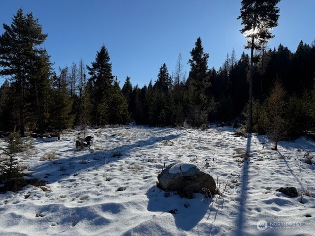 94 Grafton Road Wauconda, WA 98859 - Photo 12 of 37 a view of yard covered with snow in the background