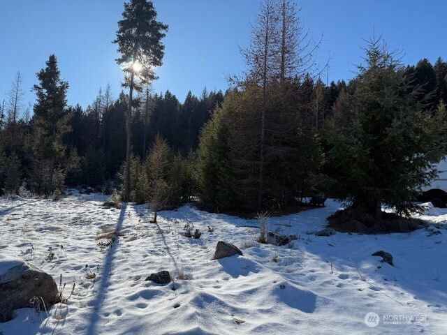 94 Grafton Road Wauconda, WA 98859 - Photo 13 of 37 a view of backyard with green space