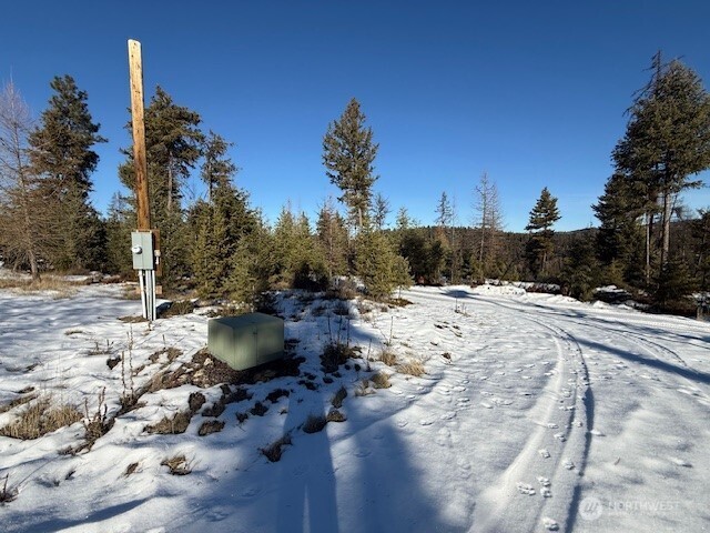 94 Grafton Road Wauconda, WA 98859 - Photo 14 of 37 a view of swimming pool with a yard