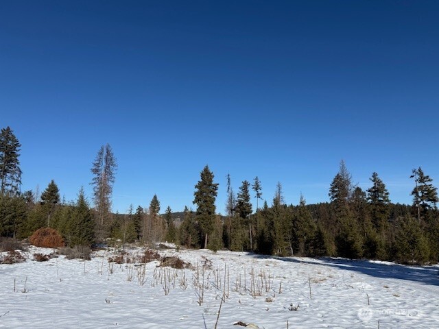 94 Grafton Road Wauconda, WA 98859 - Photo 10 of 37 a view of a town with trees in the background