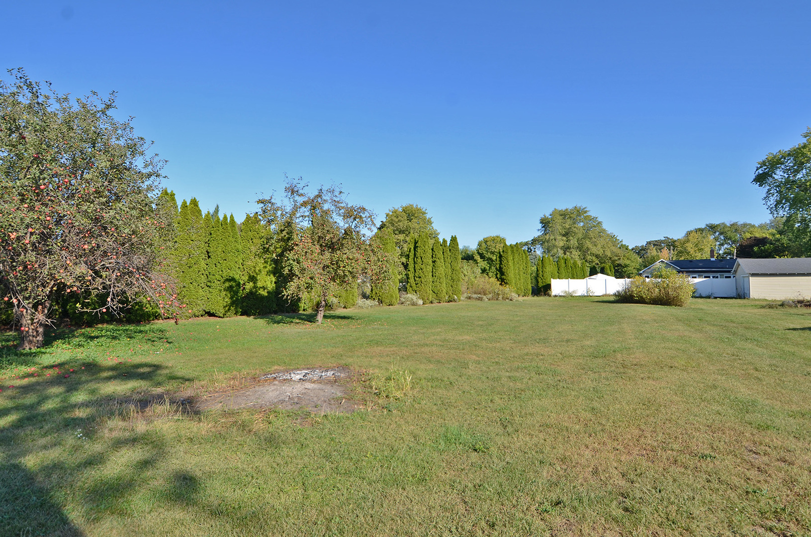 708 Lundy Street Streator, IL 61364 - Photo 20 of 21 a view of a field with large trees