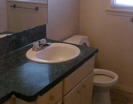 a bathroom with a sink and a toilet
