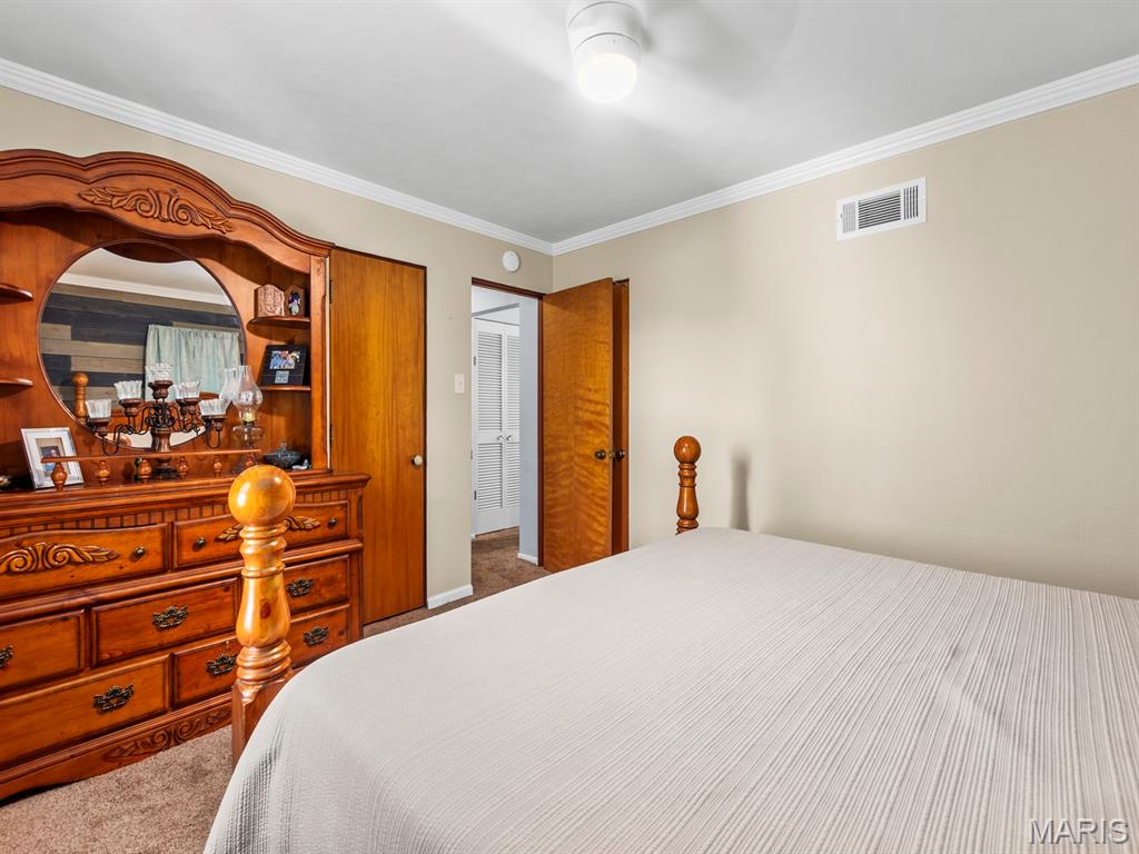 1005 Merrill Street Lebanon, IL 62254 - Photo 17 of 47 Gallery Image 17
