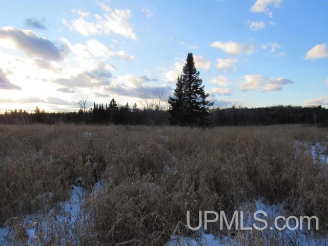 M35 - Tower Road Perkins, MI 49872 - Photo 9 of 15