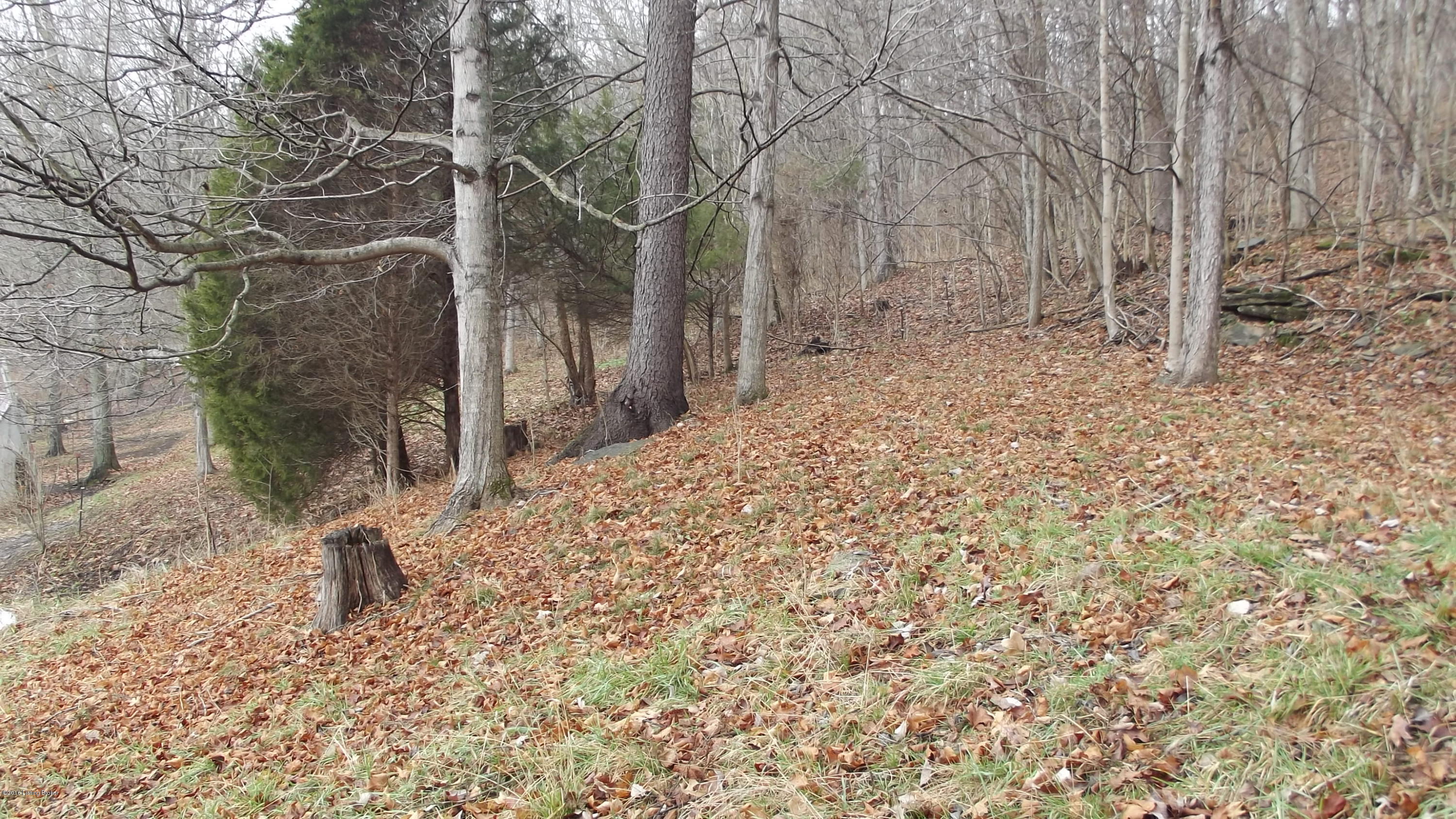 3194 Flat Rock Road New Castle, KY 40050 - Photo 26 of 45 DSCF5961