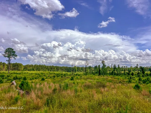 $126,000 | Chapel Road, Gloster, MS 39638