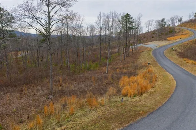 a view of a swimming pool