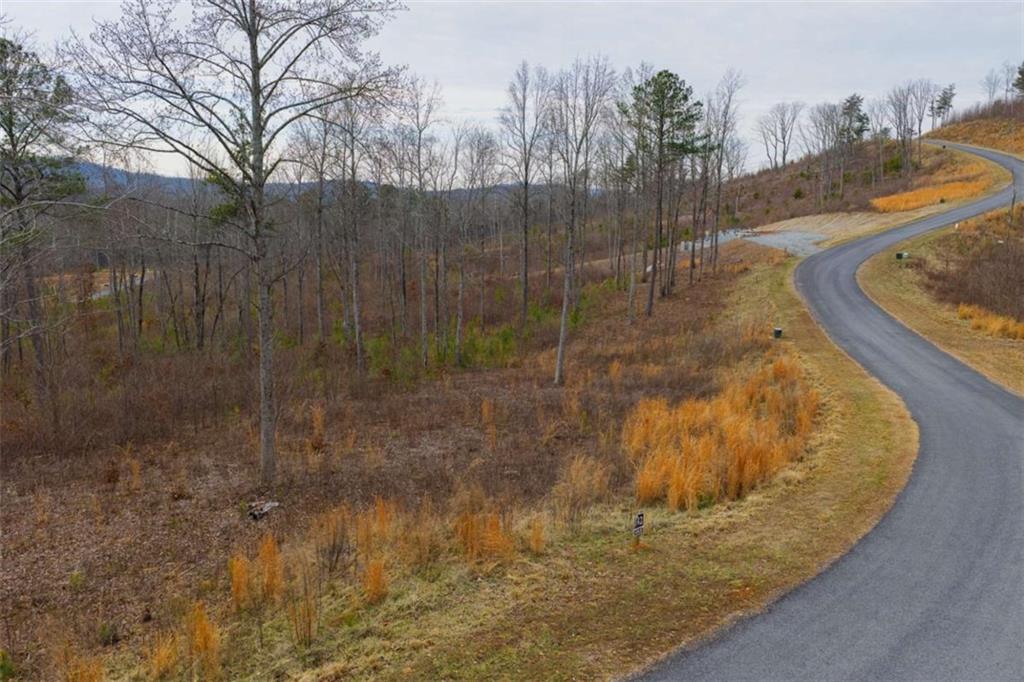 142 Twisted Oak Road Talking Rock, GA 30175 - Photo 3 of 18 a view of a swimming pool
