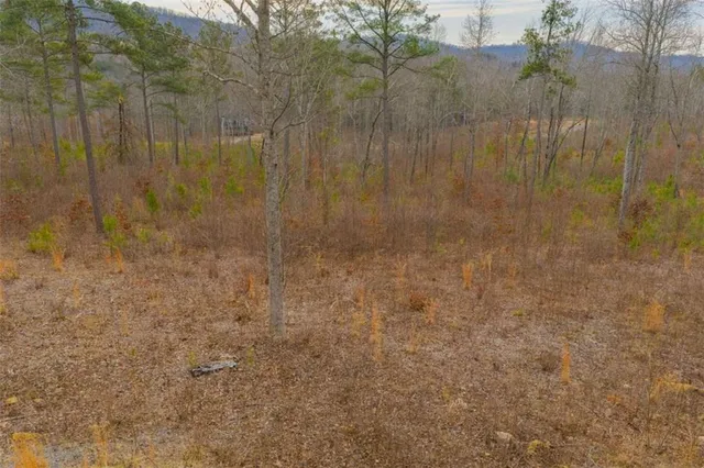 a view of a bathroom with shower