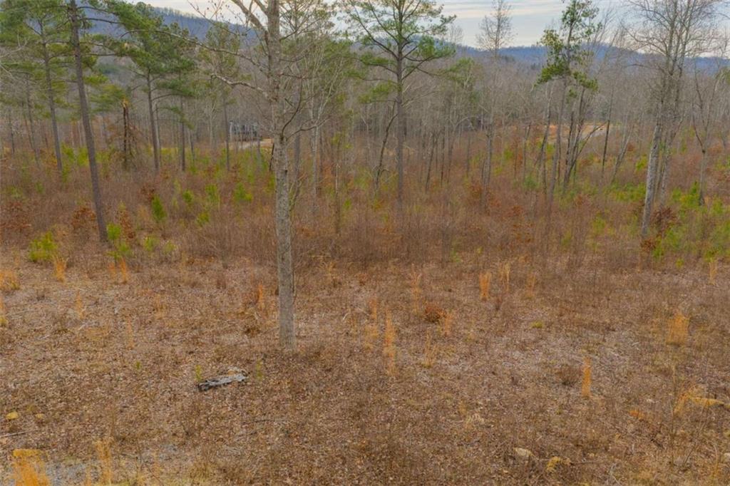 142 Twisted Oak Road Talking Rock, GA 30175 - Photo 5 of 18 a view of a bathroom with shower