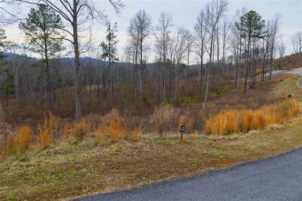 142 Twisted Oak Road Talking Rock, GA 30175 - Photo 10 of 18 a backyard of a house with lots of green space