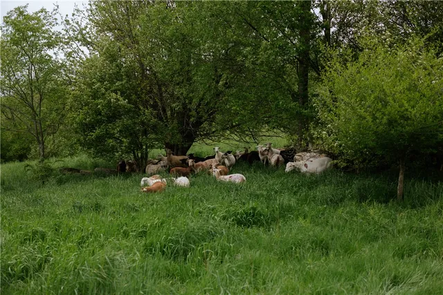 $1,100,000 | 2400 Gladstone Hollow Road, Andes, NY 13731