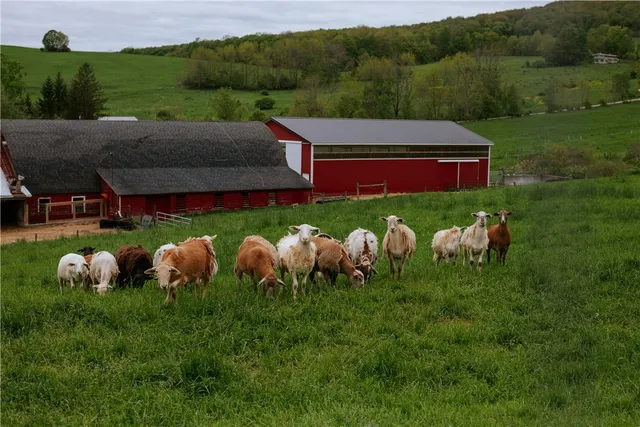 $1,100,000 | 2400 Gladstone Hollow Road, Andes, NY 13731