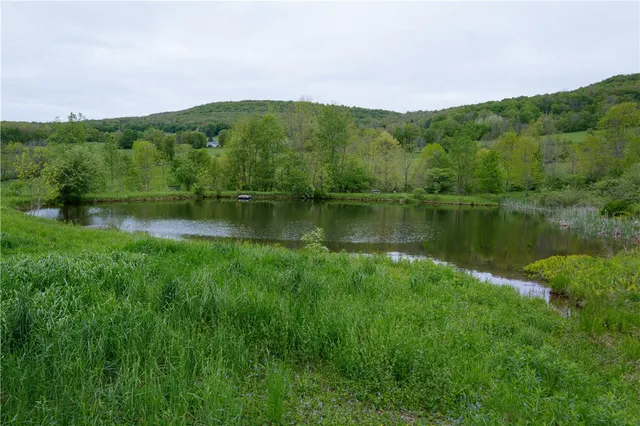 $1,100,000 | 2400 Gladstone Hollow Road, Andes, NY 13731