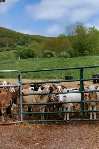 $1,100,000 | 2400 Gladstone Hollow Road, Andes, NY 13731