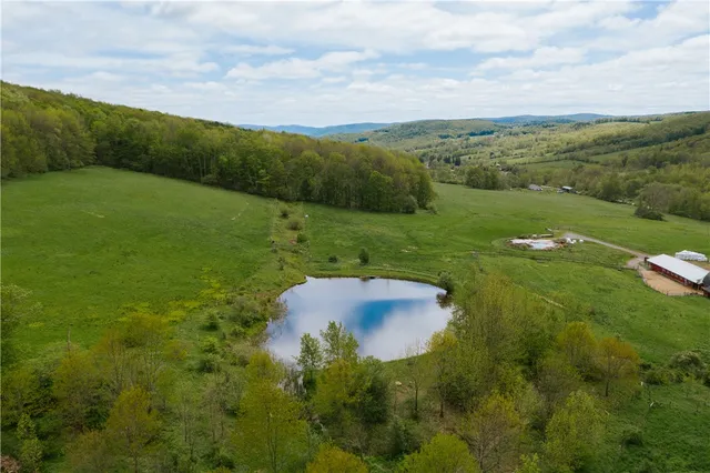 $1,100,000 | 2400 Gladstone Hollow Road, Andes, NY 13731