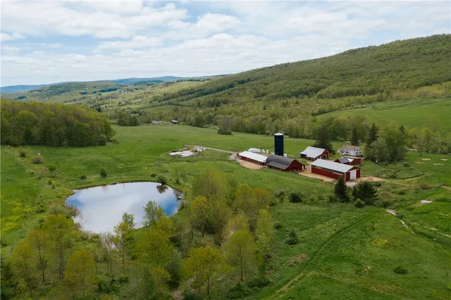 $1,100,000 | 2400 Gladstone Hollow Road, Andes, NY 13731