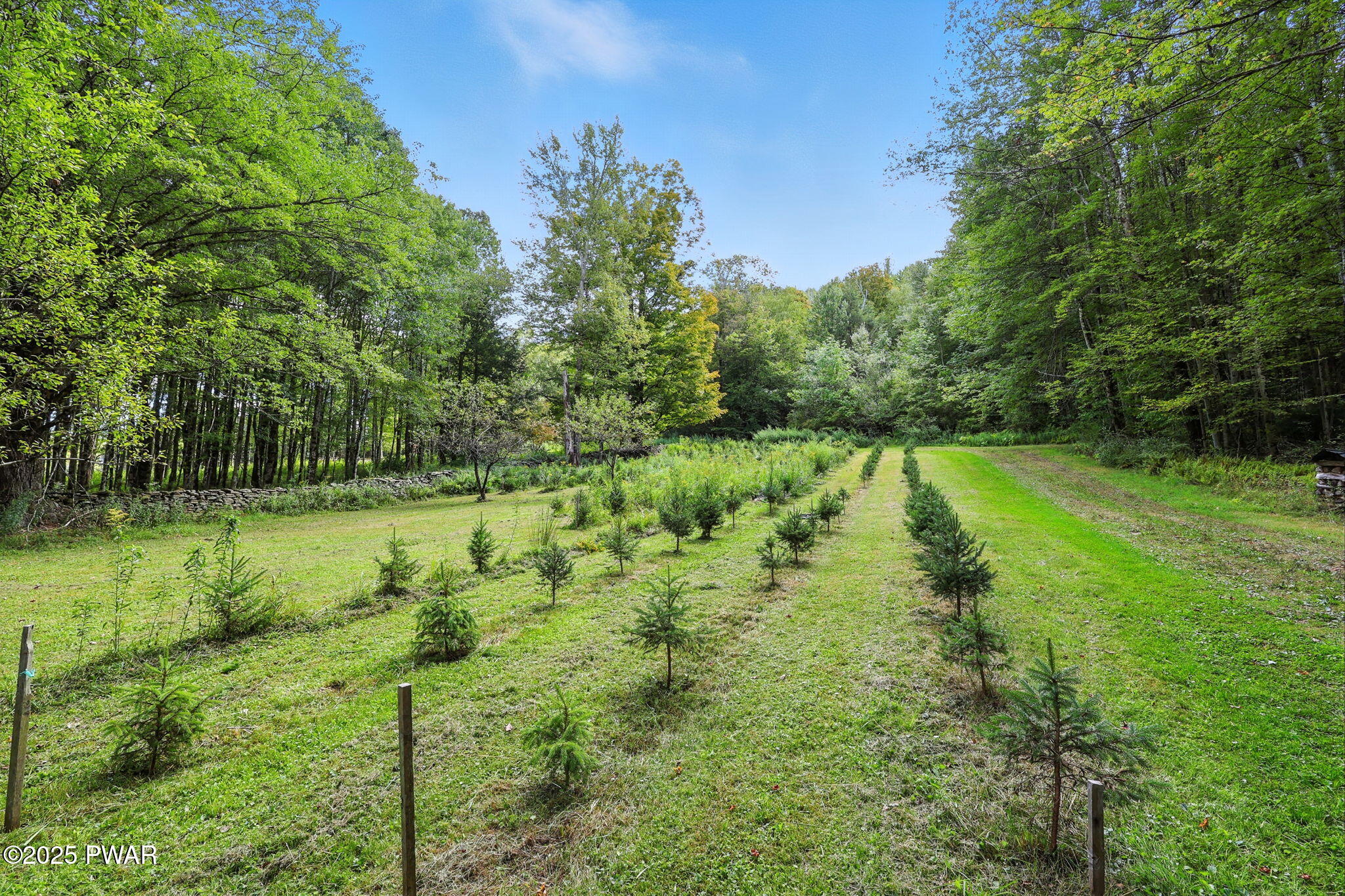 36 Stone Bridge Lane Waymart, PA 18472 - Photo 84 of 99