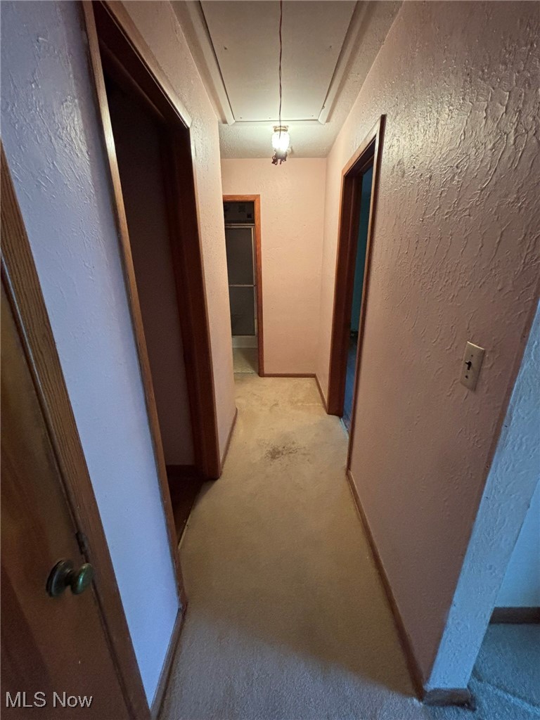 1039 Center Road Eastlake, OH 44095 - Photo 12 of 29 Hallway towards bedrooms and bathroom. Hardwood floors underneath carpeting.