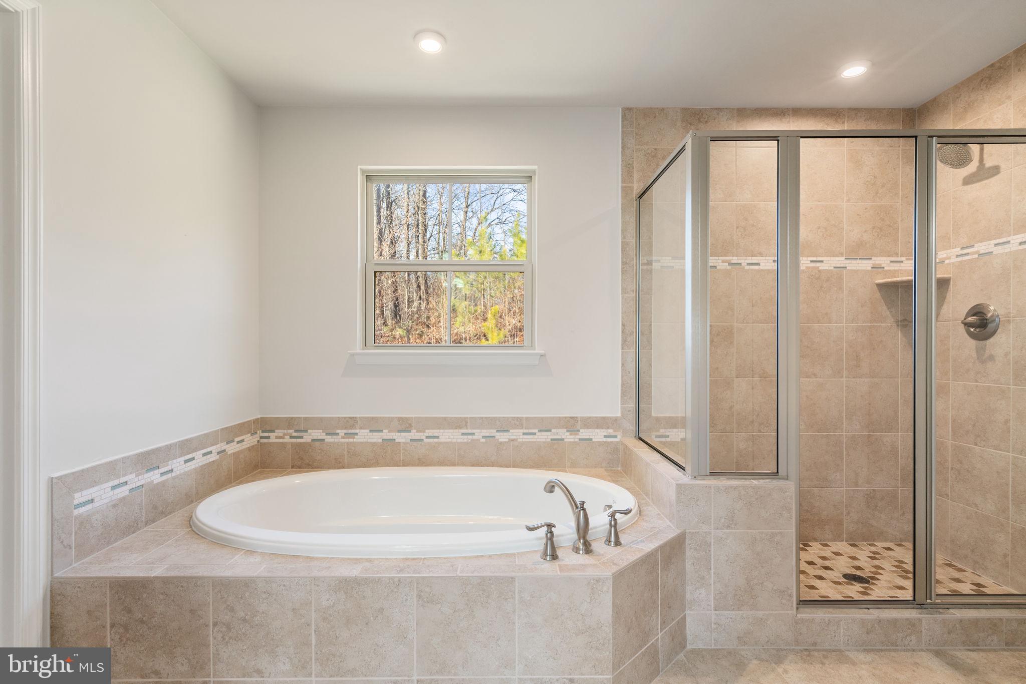 2044 Scarlet Pine Road Dumfries, VA 22026 - Photo 28 of 85 a bath tub sitting next to a window