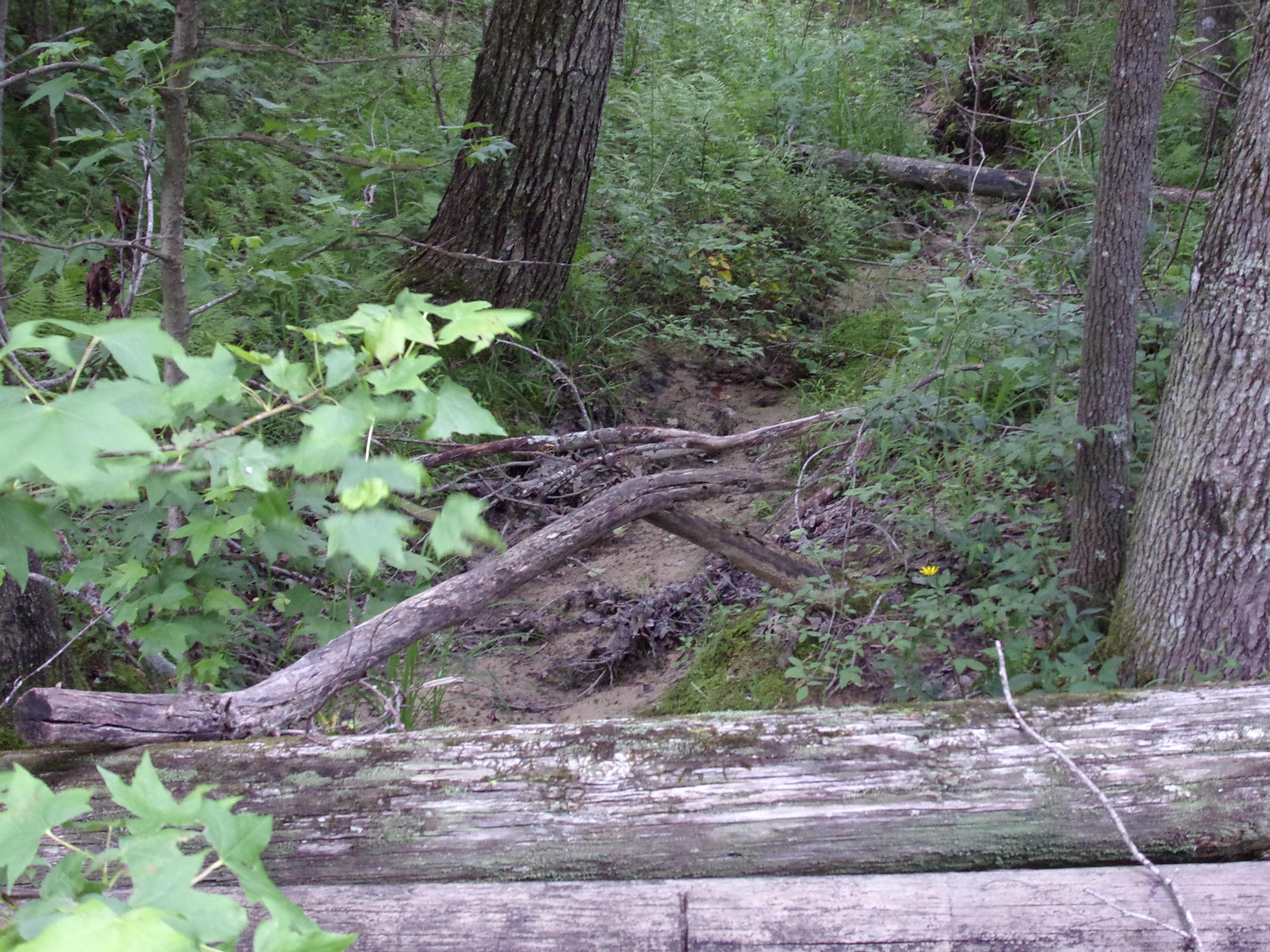 598 Black Mountain Road Dunlap, TN 37327 - Photo 15 of 59 101_0087