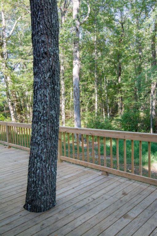 598 Black Mountain Road Dunlap, TN 37327 - Photo 18 of 59 23
