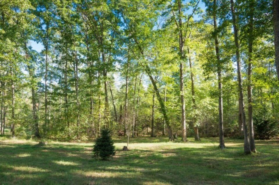 598 Black Mountain Road Dunlap, TN 37327 - Photo 27 of 59 12