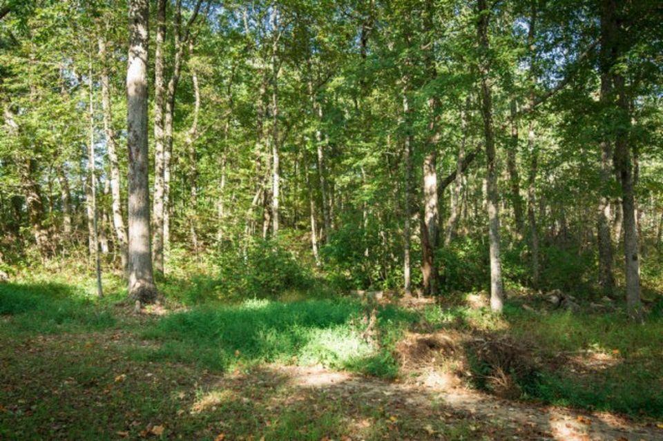 598 Black Mountain Road Dunlap, TN 37327 - Photo 57 of 59 20