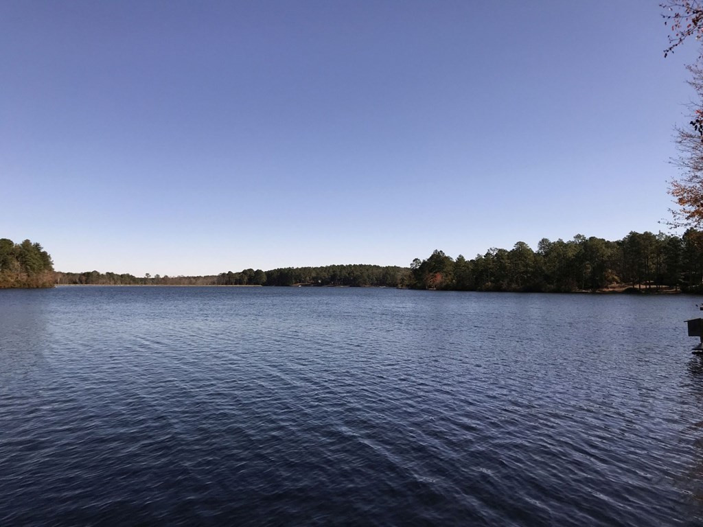 653 Edisto Lake Road Wagener, SC 29164 - Photo 33 of 33