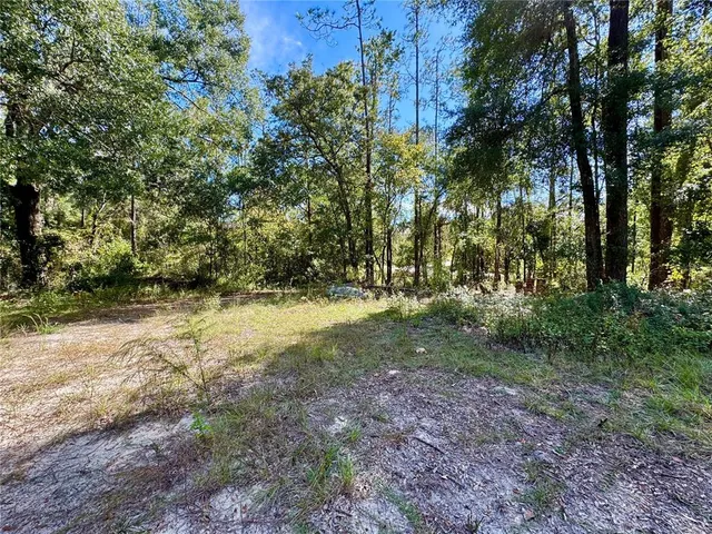 $40,000 | 46 Southwest Kentucky Street, Fort White, FL 32038