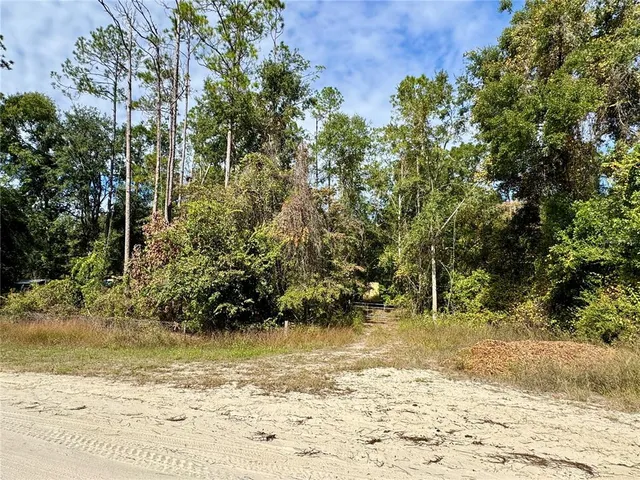 $40,000 | 46 Southwest Kentucky Street, Fort White, FL 32038