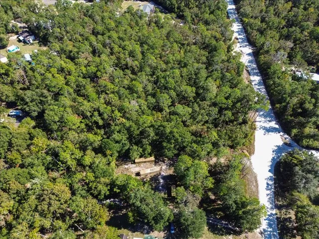 a view of backyard with green space