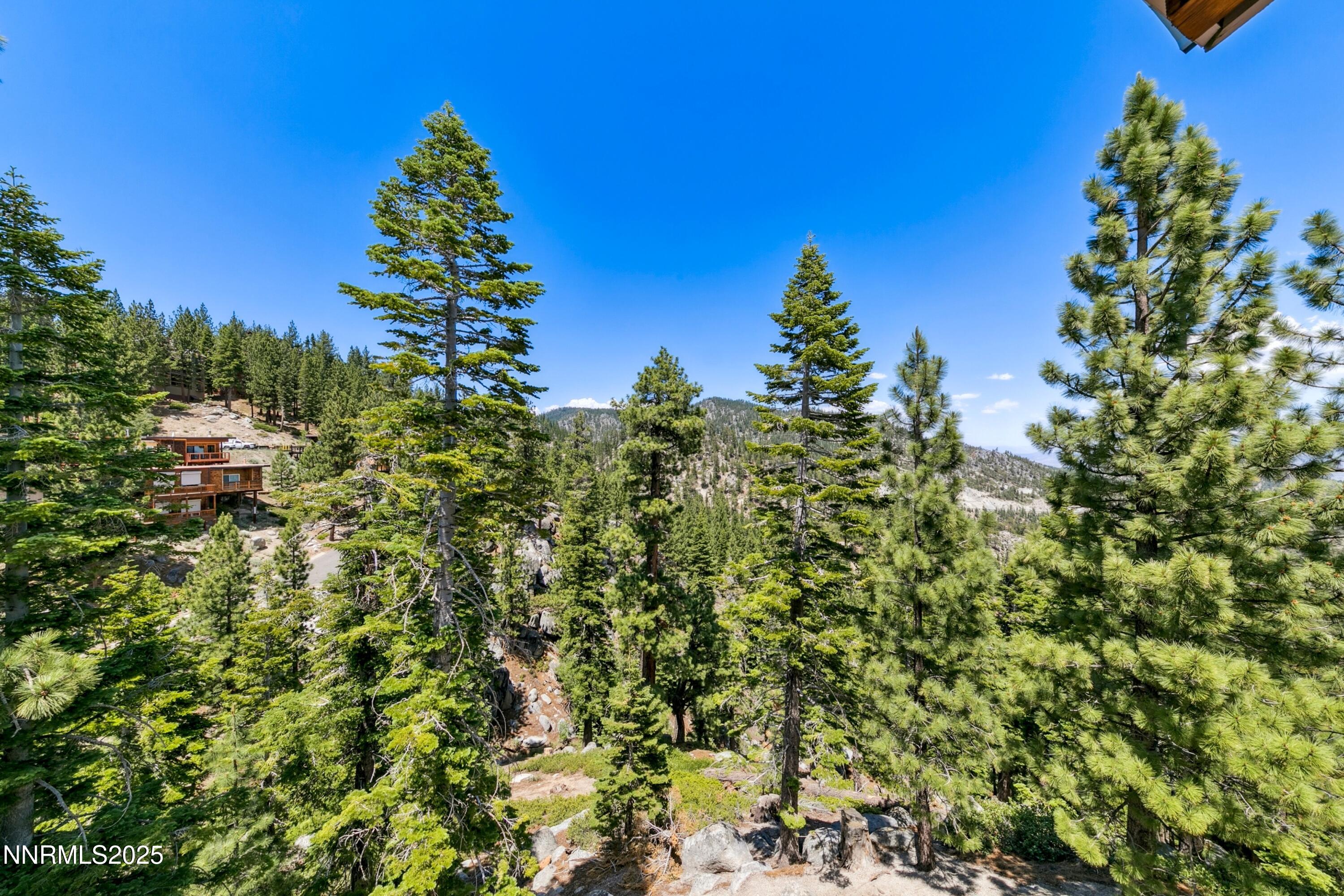 305 Galaxy Lane, Unit 5 Stateline, NV 89449 - Photo 32 of 56 a view of a garden