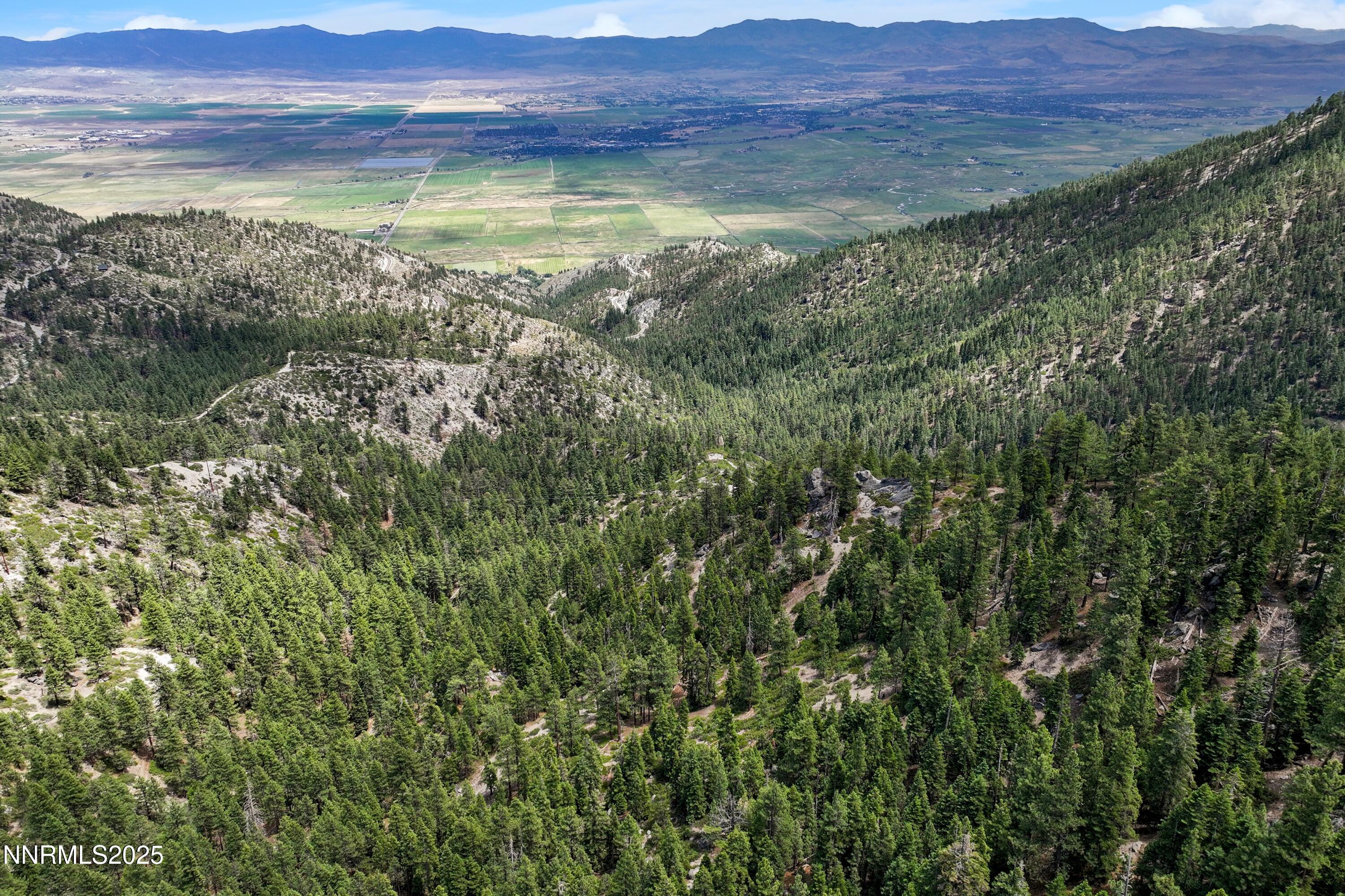 305 Galaxy Lane, Unit 5 Stateline, NV 89449 - Photo 33 of 56 a view of a lush green hillside and a houses