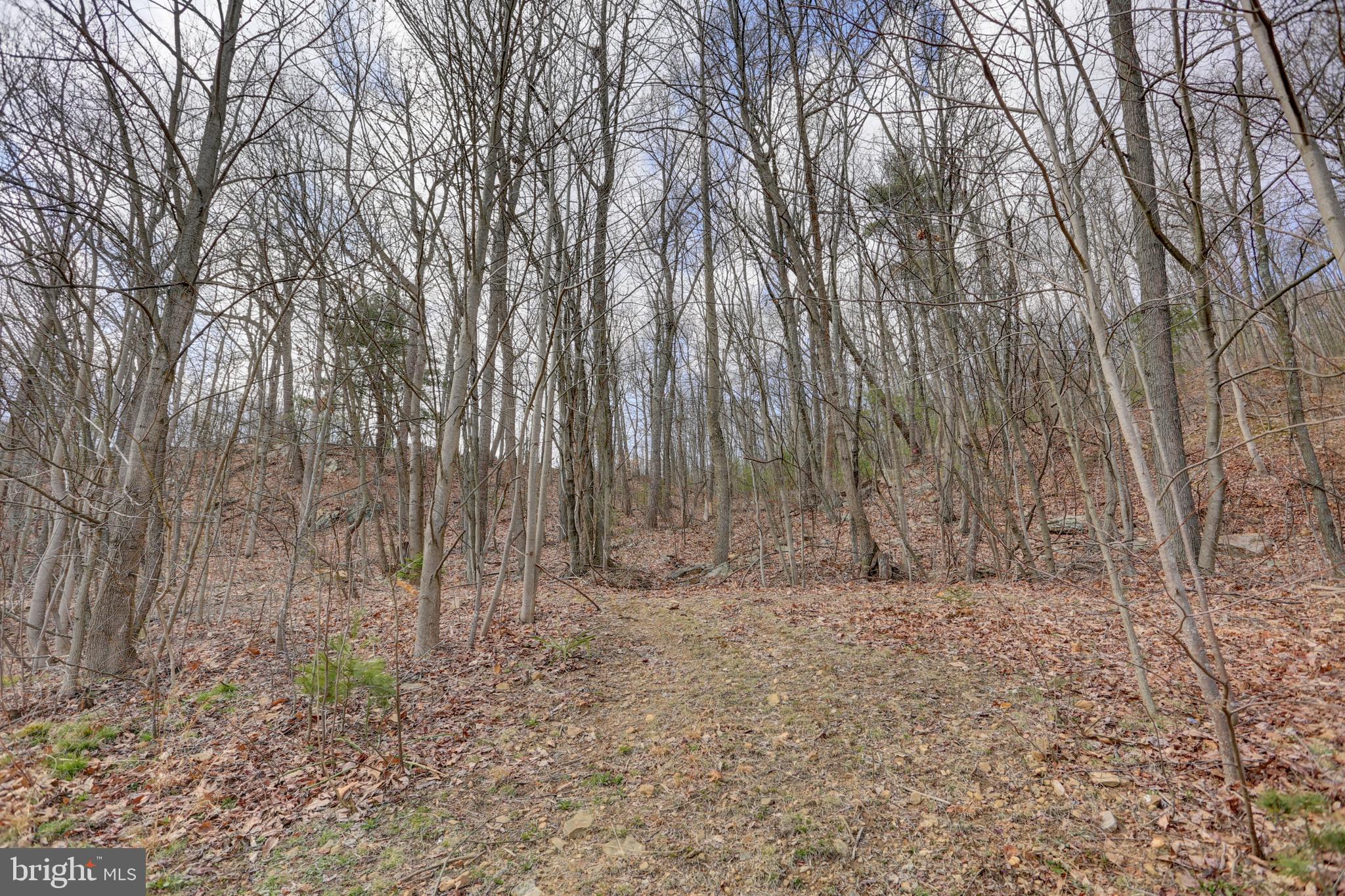 32 Paradise Road Duncannon, PA 17020 - Photo 40 of 52 Gallery Image 40