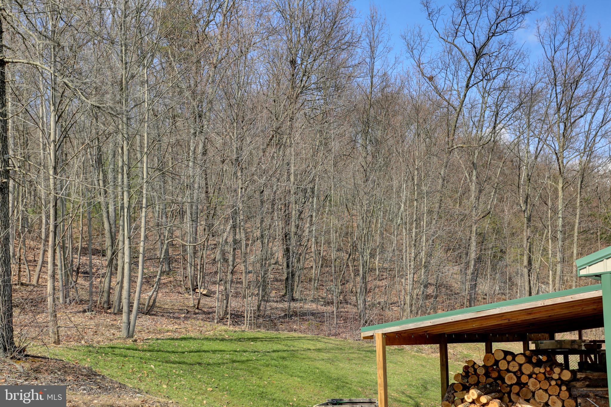 32 Paradise Road Duncannon, PA 17020 - Photo 50 of 52 Gallery Image 50
