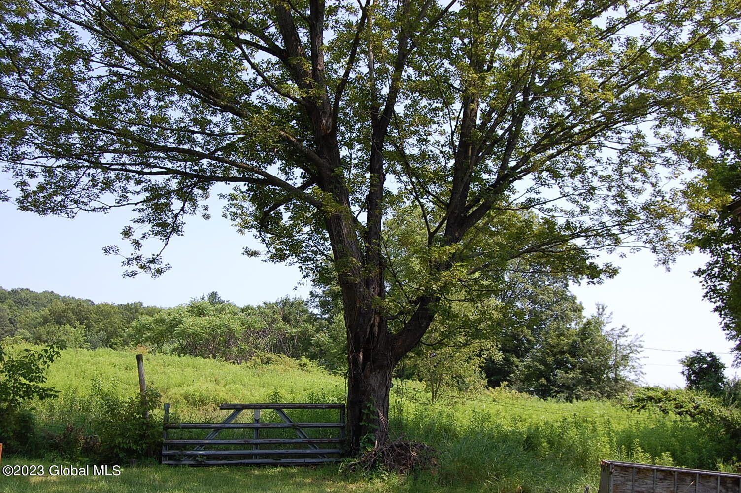 80 Allen Road Argyle, NY 12809 - Photo 3 of 10 DSC_0588