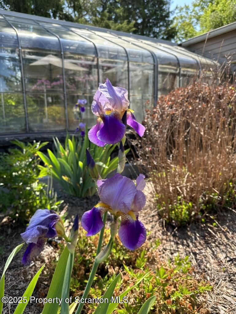 105 Grimms Road Honesdale, PA 18431 - Photo 103 of 107 perennials