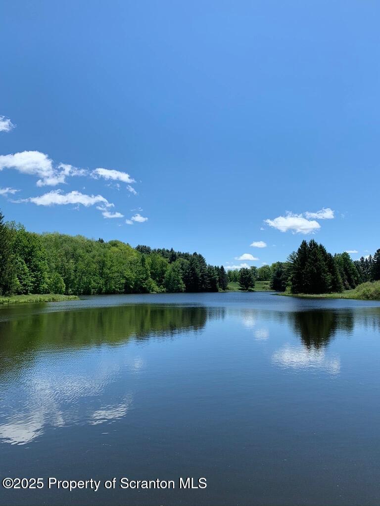 105 Grimms Road Honesdale, PA 18431 - Photo 107 of 107 summer lake view