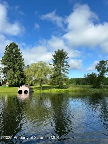 a view of a tree with a plant