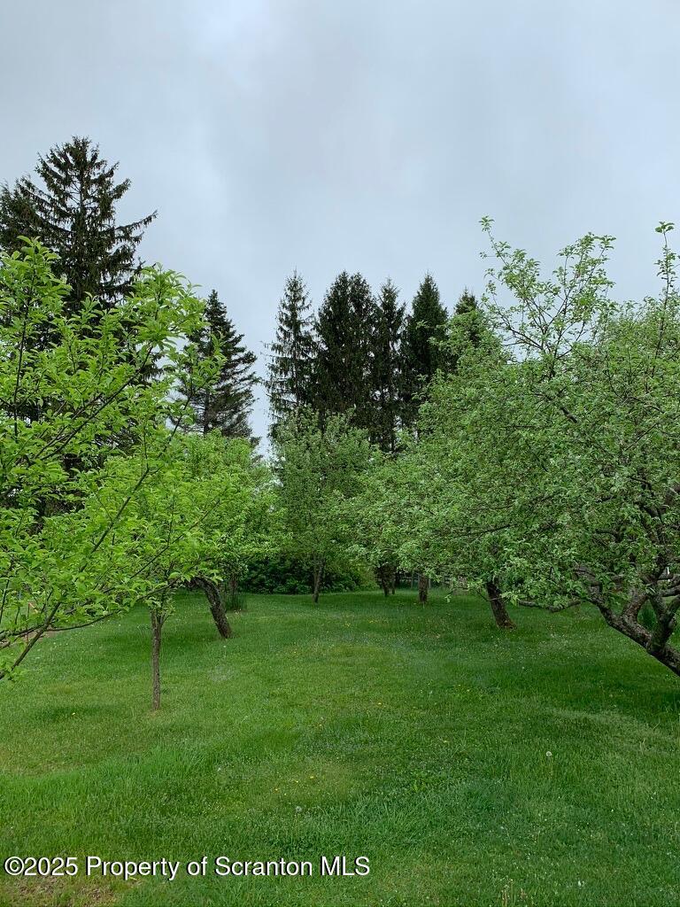 105 Grimms Road Honesdale, PA 18431 - Photo 21 of 107 orchard